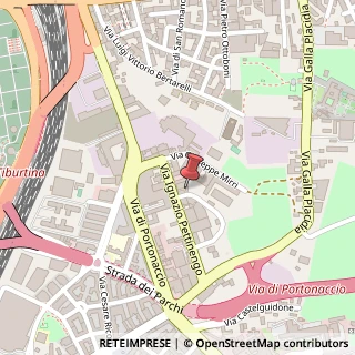 Mappa Via Rodolfo Gabrielli di Montevecchio, 4-6, 00159 Roma, Roma (Lazio)
