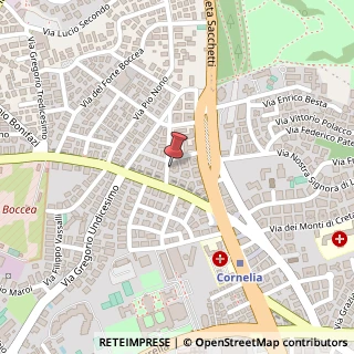 Mappa Via Cardinale Oreglia, 28, 00167 Roma, Roma (Lazio)