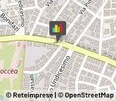 Autofficine e Centri Assistenza,00167Roma