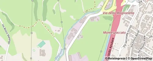 Mappa Rome
