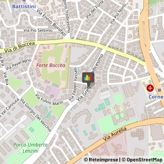 Agrumi,00166Roma