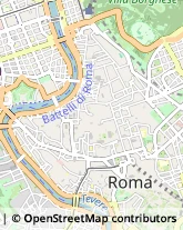 Via dei Salici, 58,00172Roma