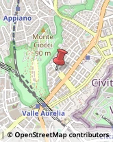 Viale degli Ammiragli, 101,00136Roma