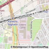 Map Roma