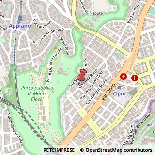 Mappa Via Luigi Rizzo, 84, 00136 Roma, Roma (Lazio)