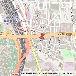 Mappa Via Carlo Caneva,  25, 00159 Roma, Roma (Lazio)