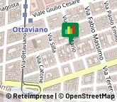 Odontoiatri e Dentisti - Medici Chirurghi,00192Roma