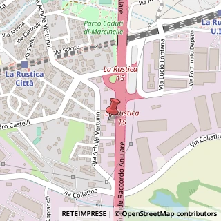 Mappa Via Achille Vertunni, 76, 00155 Roma, Roma (Lazio)
