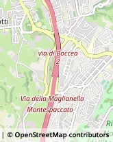 Serramenti ed Infissi, Portoni, Cancelli Roma,00166Roma