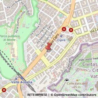 Mappa Via Domenico Millelire, 49, 00136 Roma, Roma (Lazio)