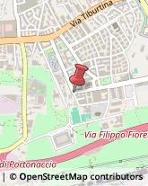 Via Di Casal Bruciato, 49,00159Roma