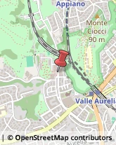 viale di valle aurelia, 121/127,00167Roma