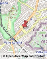 Viale Degli Ammiragli, 38,00136Roma