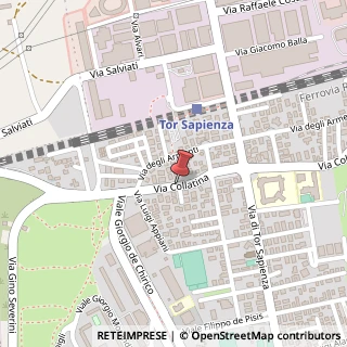 Mappa Via Collatina, 239, 00155 Roma, Roma (Lazio)