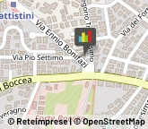 Tour Operator e Agenzia di Viaggi,00167Roma