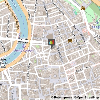 Pellicce e Pelli - Pulitura e Custodia Roma,00186Roma