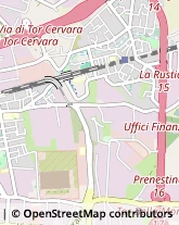 Via di Passo Lombardo, 1,00133Roma