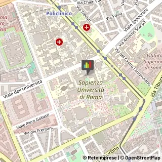 Minerali, Conchiglie e Fossili - Collezionismo,00185Roma