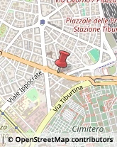 Via della Lega Lombarda, 45/47,00162Roma