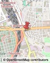 Via Luigi Vittorio Bertarelli, 13-13/A,00159Roma