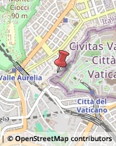 Viale Vaticano, 45,00165Roma