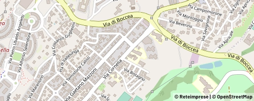 Mappa Rooma