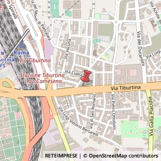 Mappa Via Tiburtina, 423, 00157 Roma, Roma (Lazio)