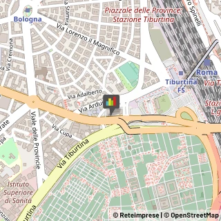 Consulenza Informatica,00162Roma