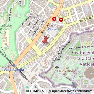 Mappa Via Domenico Millelire,  15, 00136 Roma, Roma (Lazio)