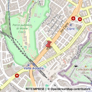 Mappa Via della Camilluccia, 535, 00135 Roma, Roma (Lazio)