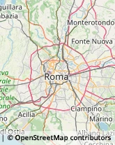 Cinema e Televisione - Distribuzione e Noleggio Film Roma,00191Roma