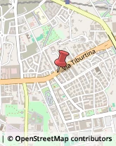 Via Tiburtina, 644,00159Roma