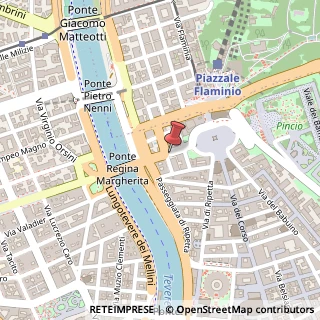Mappa Via ferdinando di savoia, 00196 Roma, Roma (Lazio)
