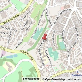 Mappa Via Pasquale II,  207, 00168 Roma, Roma (Lazio)