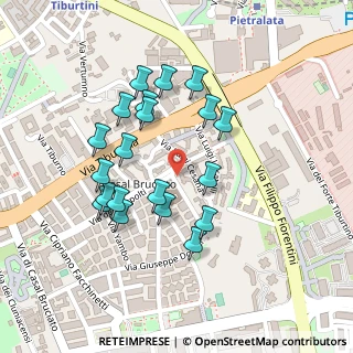 Mappa Via Luigi Cesana, 00159 Roma RM, Italia (0.2245)