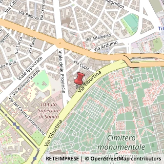 Mappa Via Tiburtina, 239, 00162 Roma, Roma (Lazio)