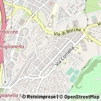 Map Roma