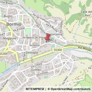 Mappa Via Roma, 6, 23032 Bormio, Sondrio (Lombardia)
