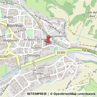 Mappa Piazza Martino Anzi, 2, 23032 Bormio, Sondrio (Lombardia)