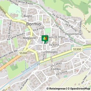 Mappa Via Roma, 87, 23032 Bormio, Sondrio (Lombardia)