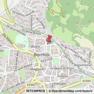 Mappa Via Don Angelo Moltrasio, 1, 23032 Bormio, Sondrio (Lombardia)