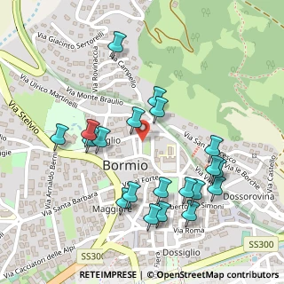 Mappa Via Cincinnato, 23032 Bormio SO, Italia (0.254)
