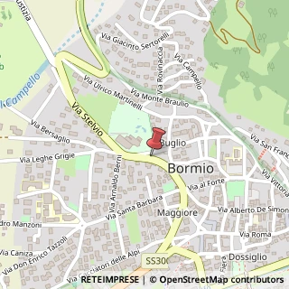 Mappa Via Stelvio, 5, 23032 Bormio, Sondrio (Lombardia)