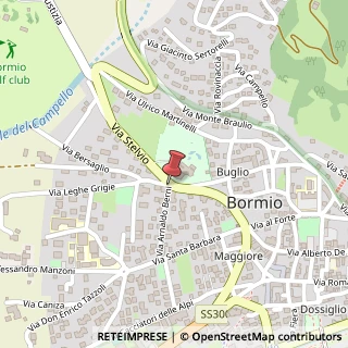 Mappa Via Stelvio, 23, 23032 Bormio, Sondrio (Lombardia)