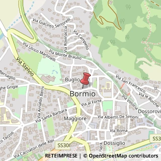 Mappa Via Cincinnato, 10, 23032 Bormio, Sondrio (Lombardia)