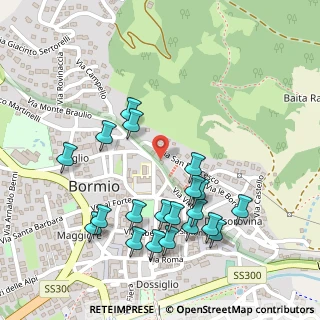 Mappa Via Nesini, 23032 Bormio SO, Italia (0.263)