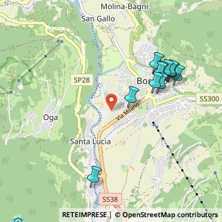 Mappa Via Silvio Pellico, 23032 Bormio SO, Italia (1.04818)