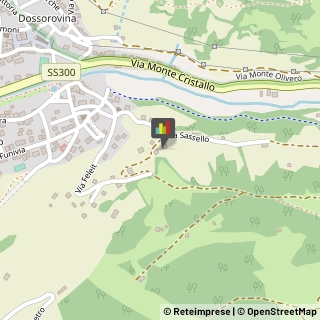 Aziende Agricole,23032Sondrio