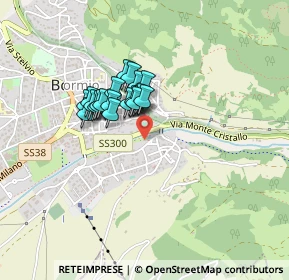 Mappa Via Coltura, 23032 Bormio SO, Italia (0.289)