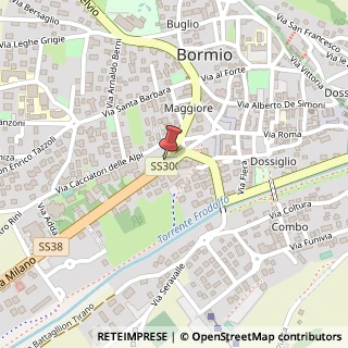 Mappa Via Roma,  135, 23032 Bormio, Sondrio (Lombardia)